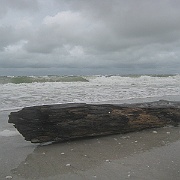 Picture 075